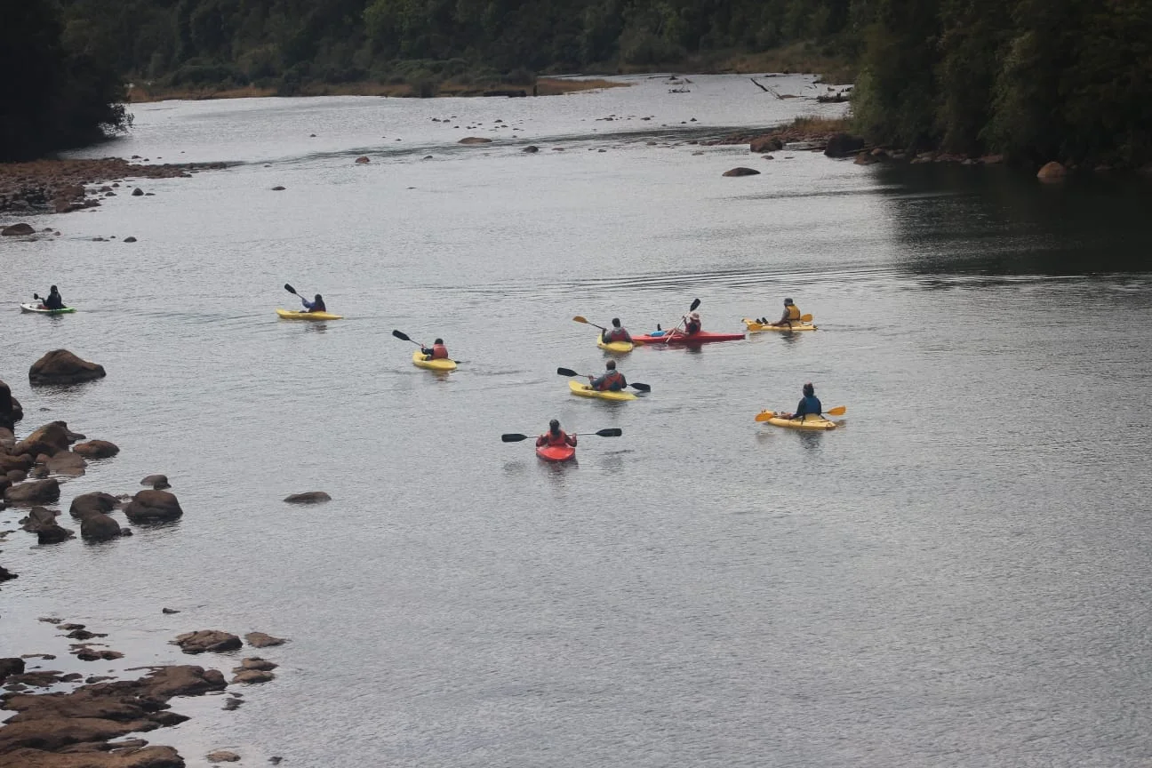 Vista desde el kayak hacia la costa